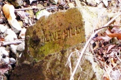 olive-hill-brick
