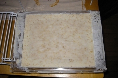 soap-in-the-mold