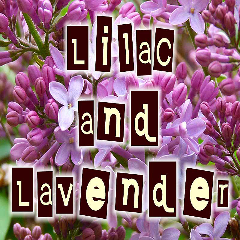 Lilac & Lavender