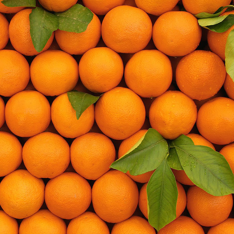 Olive Hill Orange