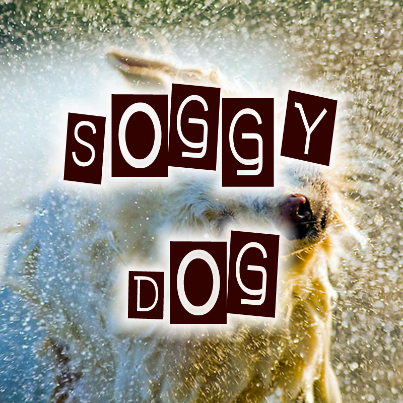 Soggy Dog Pet Bathin Bar