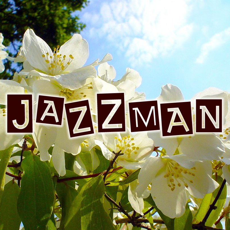 Jazzman